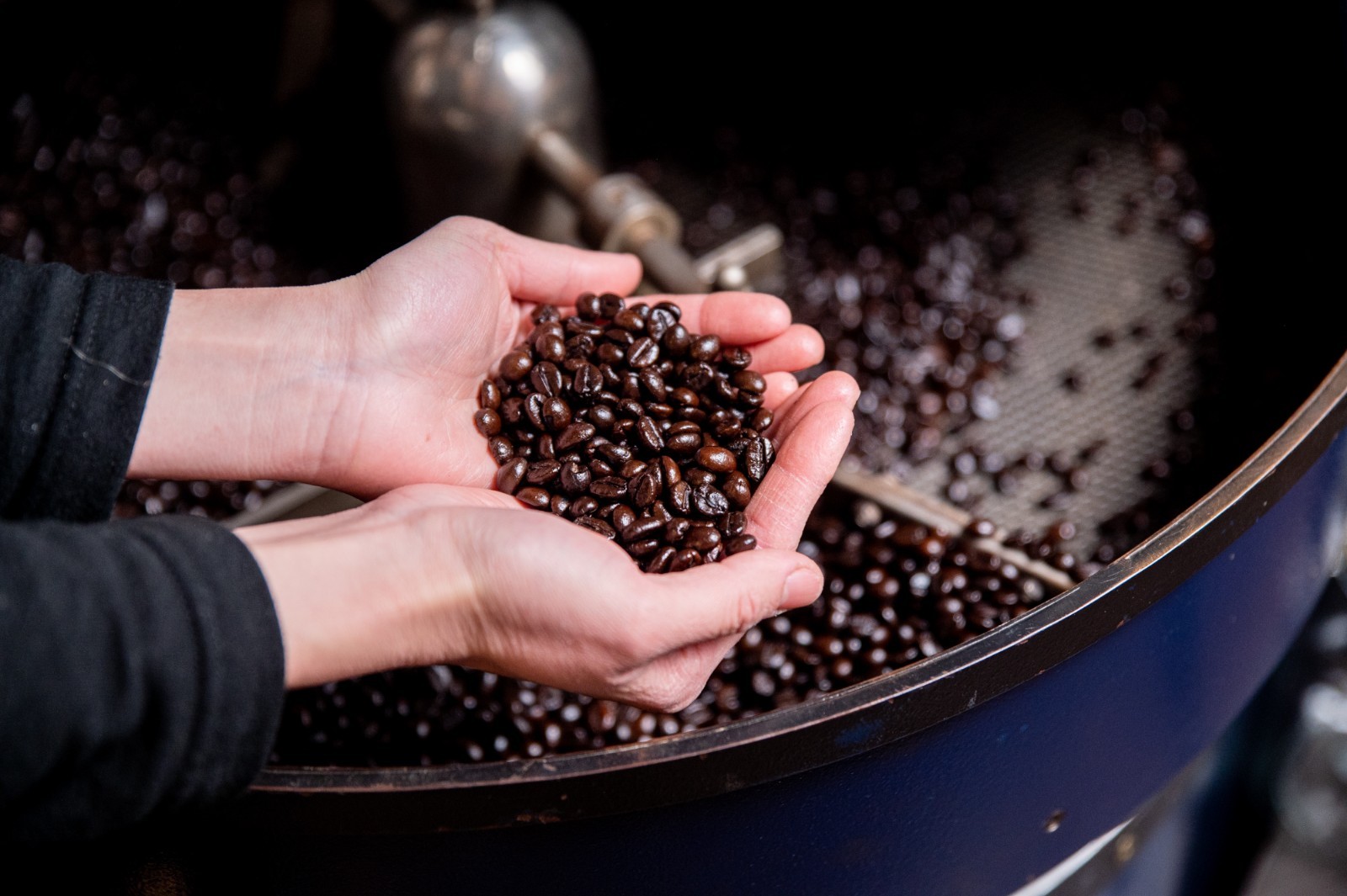 【GUATEMALA】EL PLATANILLO -GEISHA- 300g Roasted in Nara, Japan