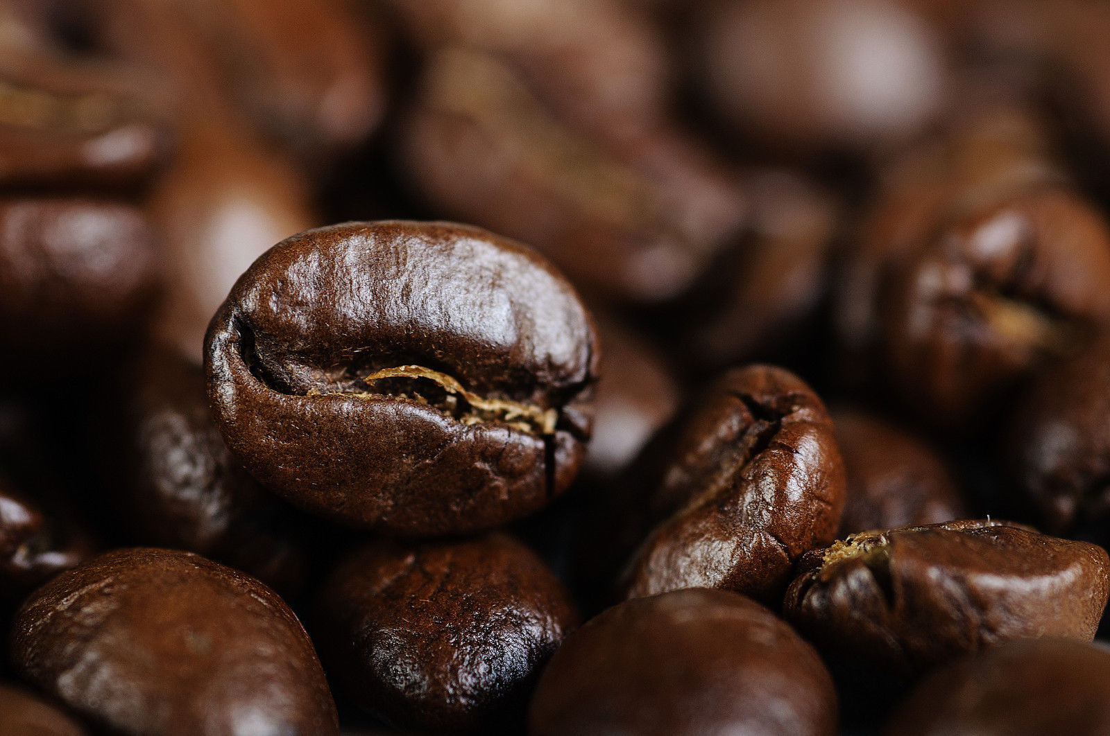 Sumatra Dark Roasted Coffee Beans 5 Pounds