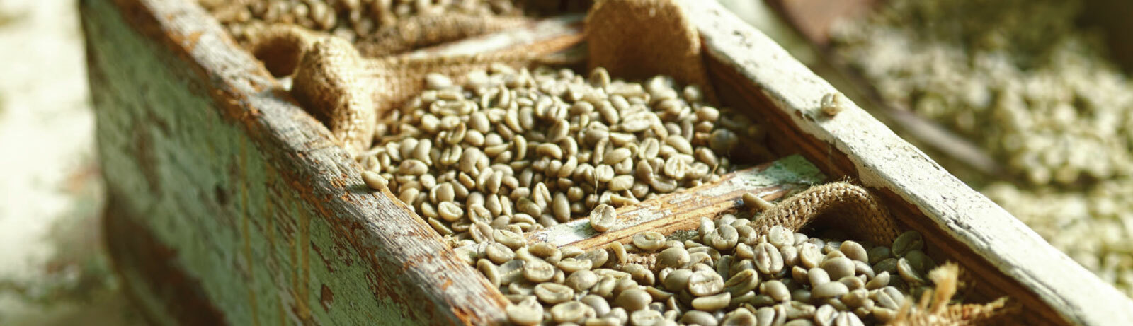 5 LBS PERUVIAN PERU UNROASTED DECAFFEINATED GREEN COFFEE BEANS – DECAF
