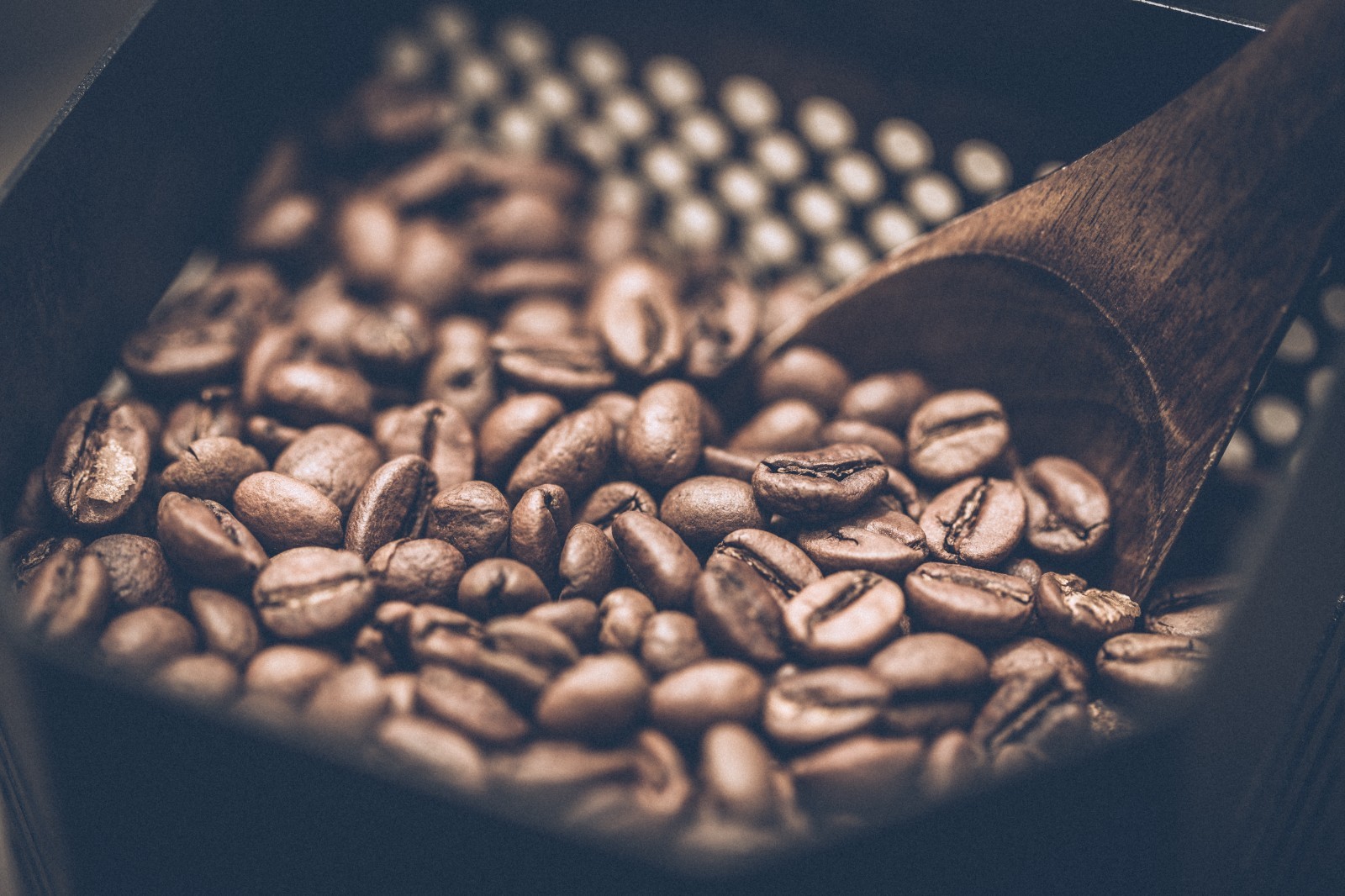 A Resonance of Fruit and Harmony – Costa Rica Tarrazú Raisin Honey