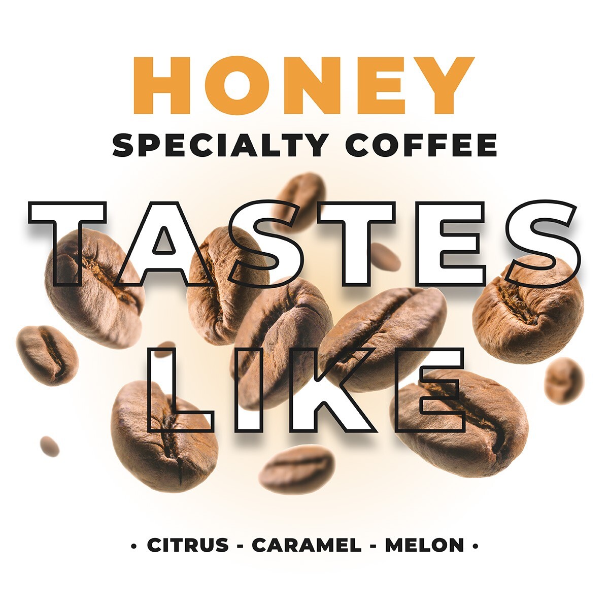 Diana’s Coffee | Original Specialty | Honey | Whole Bean | 12 oz (340g)