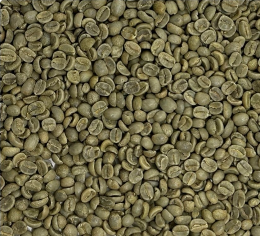 Green Coffee Beans / Costa Rica La Minita Estate Tarrazu/ 5 Pound /UNROASTED
