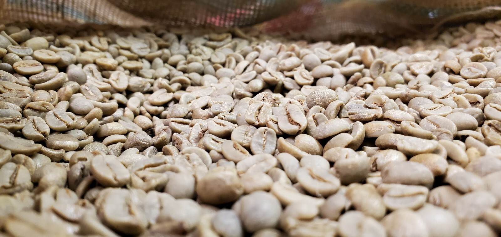 5 LB BRAZIL BRASIL BRAZILIAN UNROASTED GREEN COFFEE BEANS – ARABICA