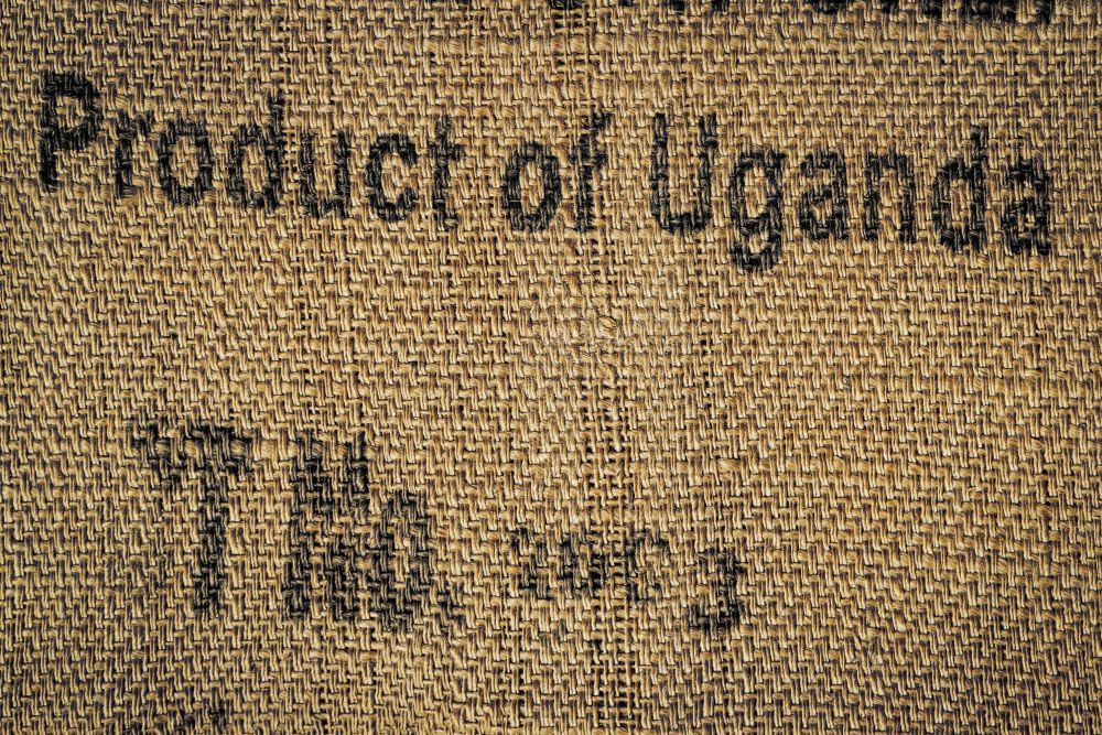 5 POUNDS green coffee beans – your choice of beans – MANY to choose from
