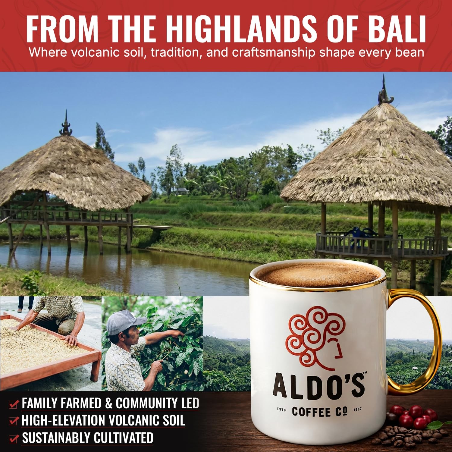 Aldo’s Coffee Company Bali Blue Whole Bean – 16 Ounce (Pack of 1)