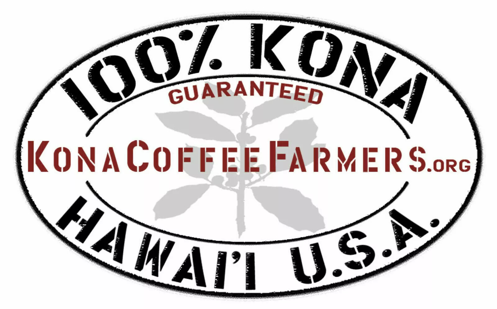2 lbs of AUTHENTIC Kona Extra Fancy Coffee – Free Shipping! Roasted to Order!