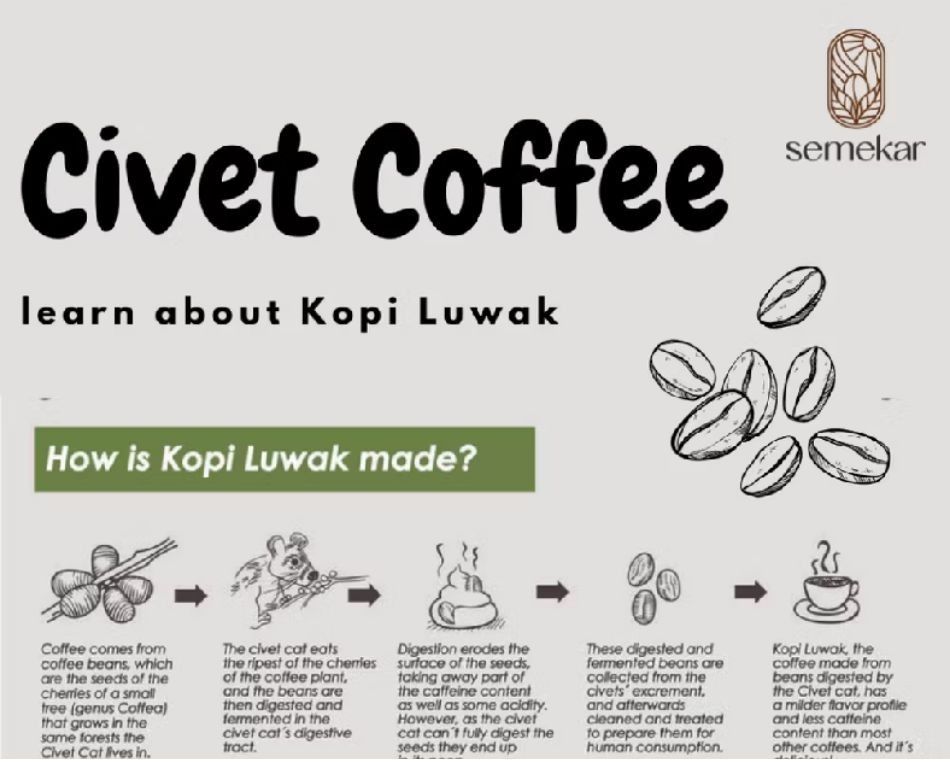 Coffe Luwak Liar Aceh Gayo Premium Roasted Beans 200g