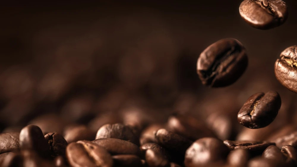 2026 Coffee Beans Plantation Blend 2 Bags Fresh Roasted Sipping Gourmet Coffee
