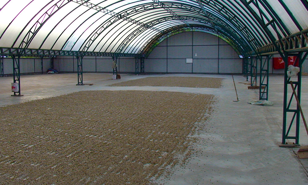 100% Hawaiian Kona Coffee Beans Medium Roasted Daily 10 Bags Each 1 Pound Bag