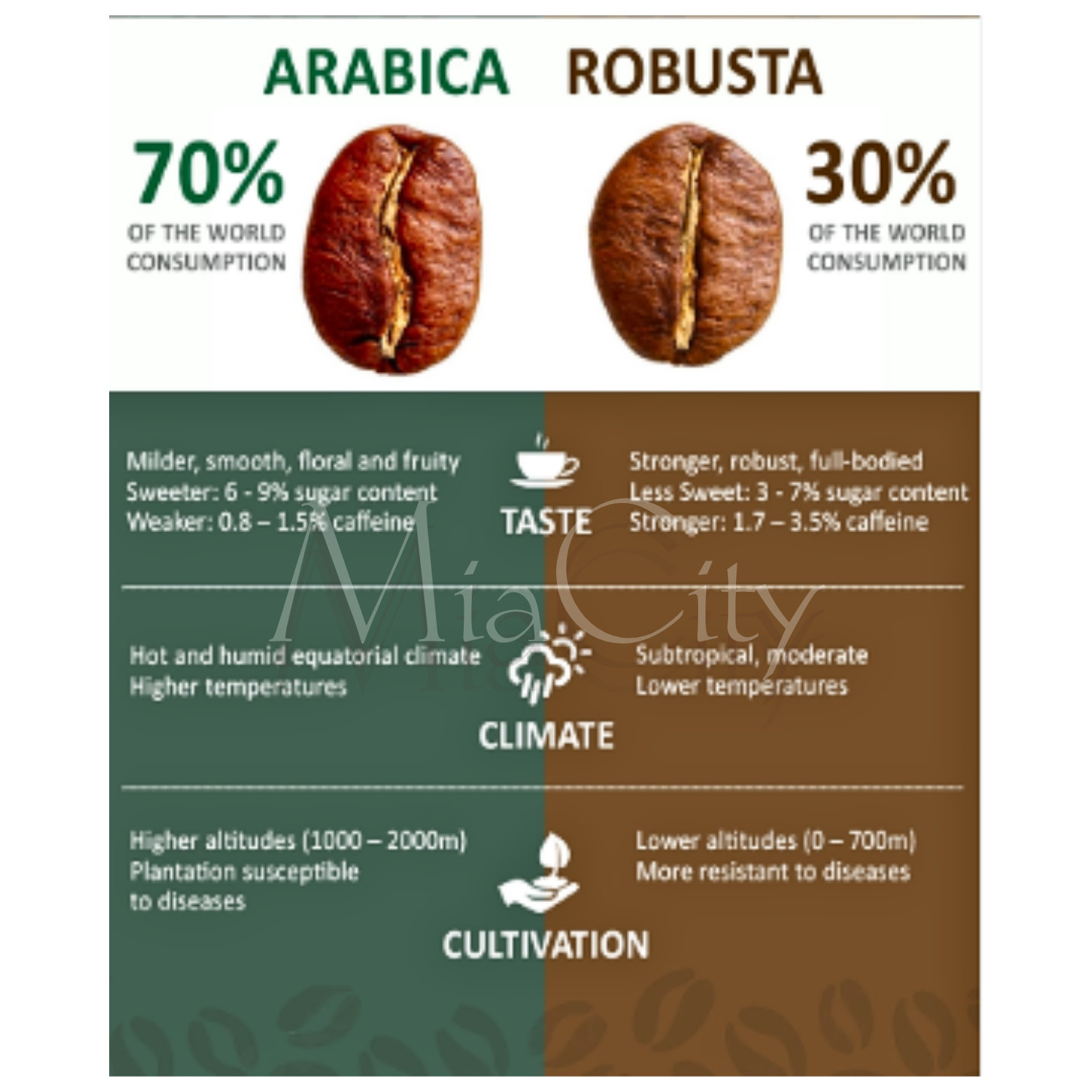 Coffee Brazil Santos Arabica,Fine, Natural Process,Fresh Roast,Medium Dark 100 g