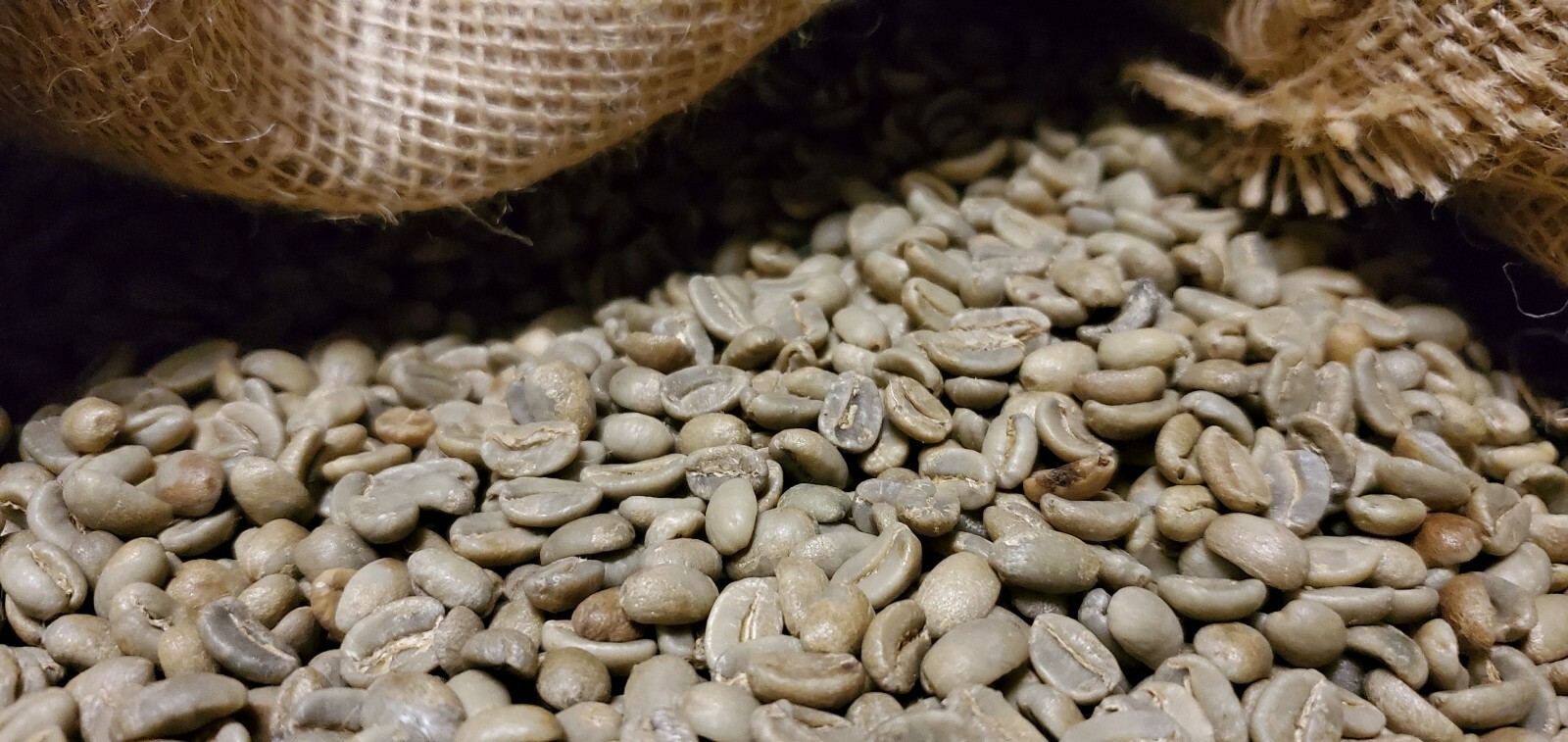 5 LBS PAPUA NEW GUINEA UNROASTED GREEN COFFEE BEANS – ARABICA