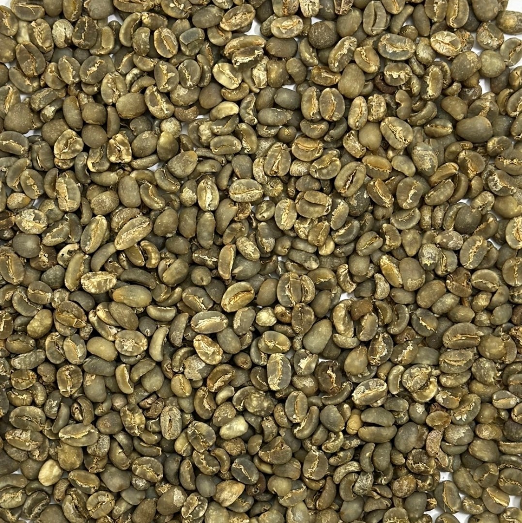 Green Coffee Beans / Sumatra Mandheling/ 1 Pound / UNROASTED