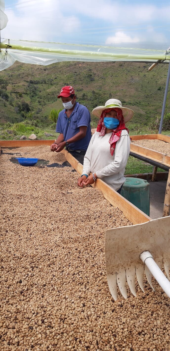 Premium Colombian Coffee Beans – Dark Roast (1 Lb.)
