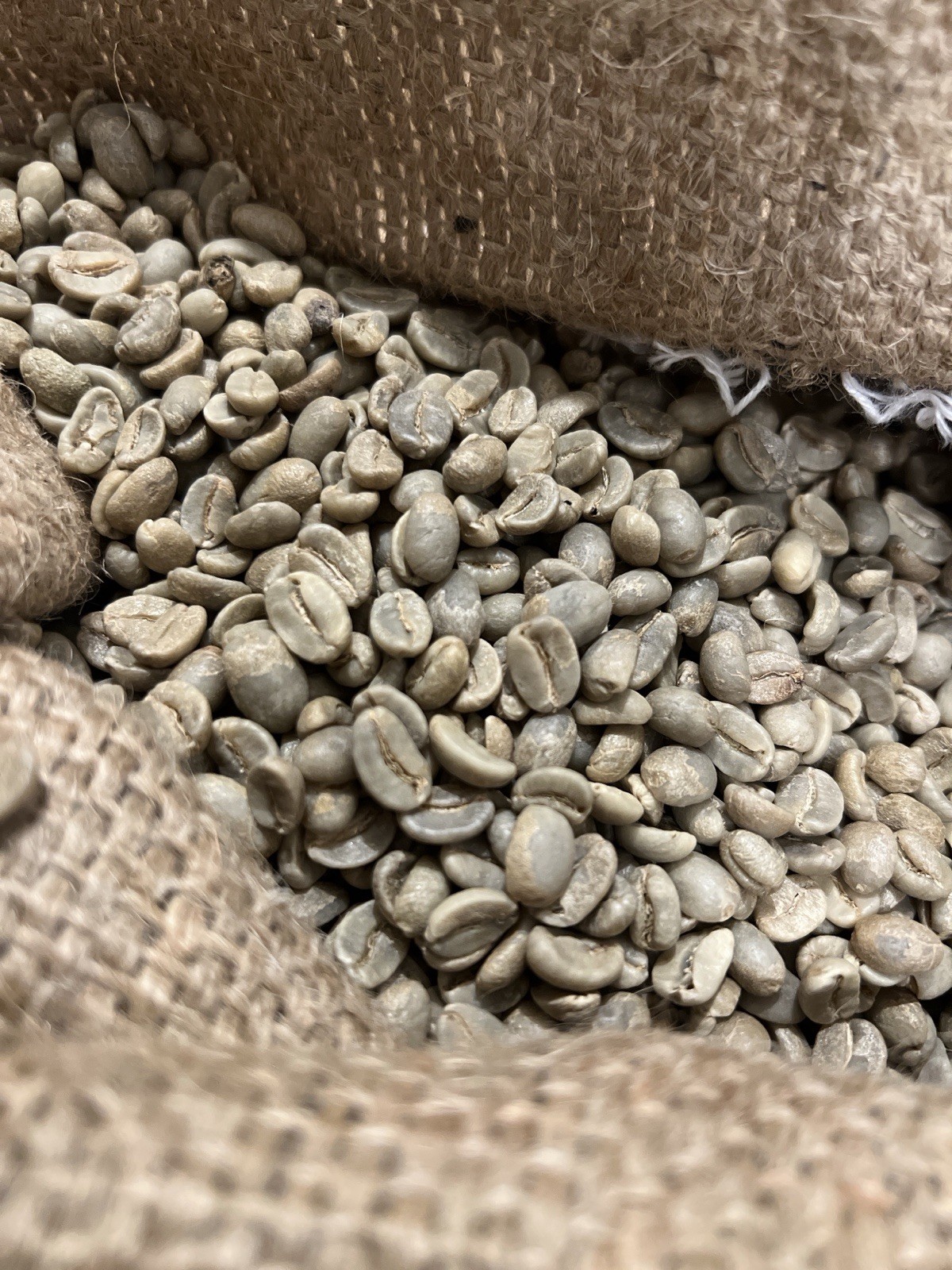 Costa Rica green coffee beans 4lbs