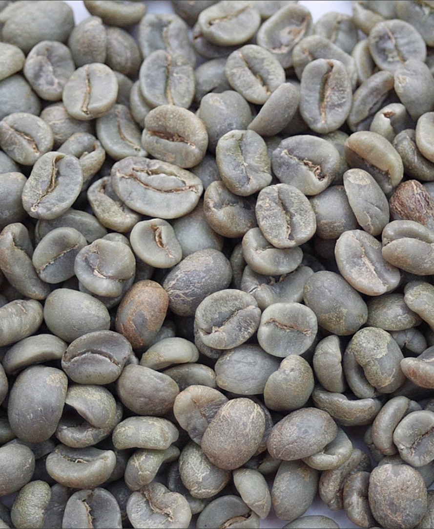 Green Coffee Beans / Costa Rican La Magnolia Tres Rios / 1 Pound / UNROASTED
