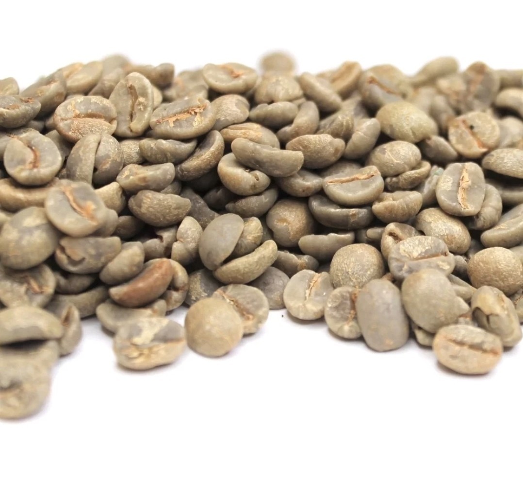 Green Coffee Beans / Brazil Oberon Cerrado / 5 Pound / UNROASTED