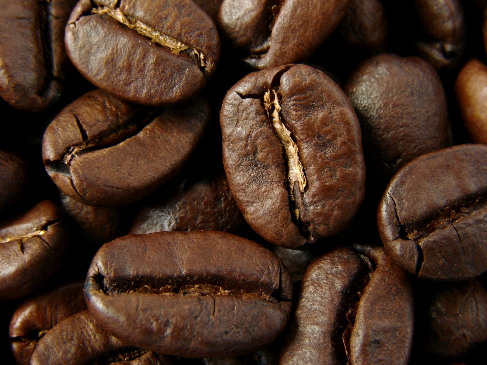 2026 Premium Roast Coffee 1 bag 12 oz, Fresh Roasted , Whole Bean Coffee