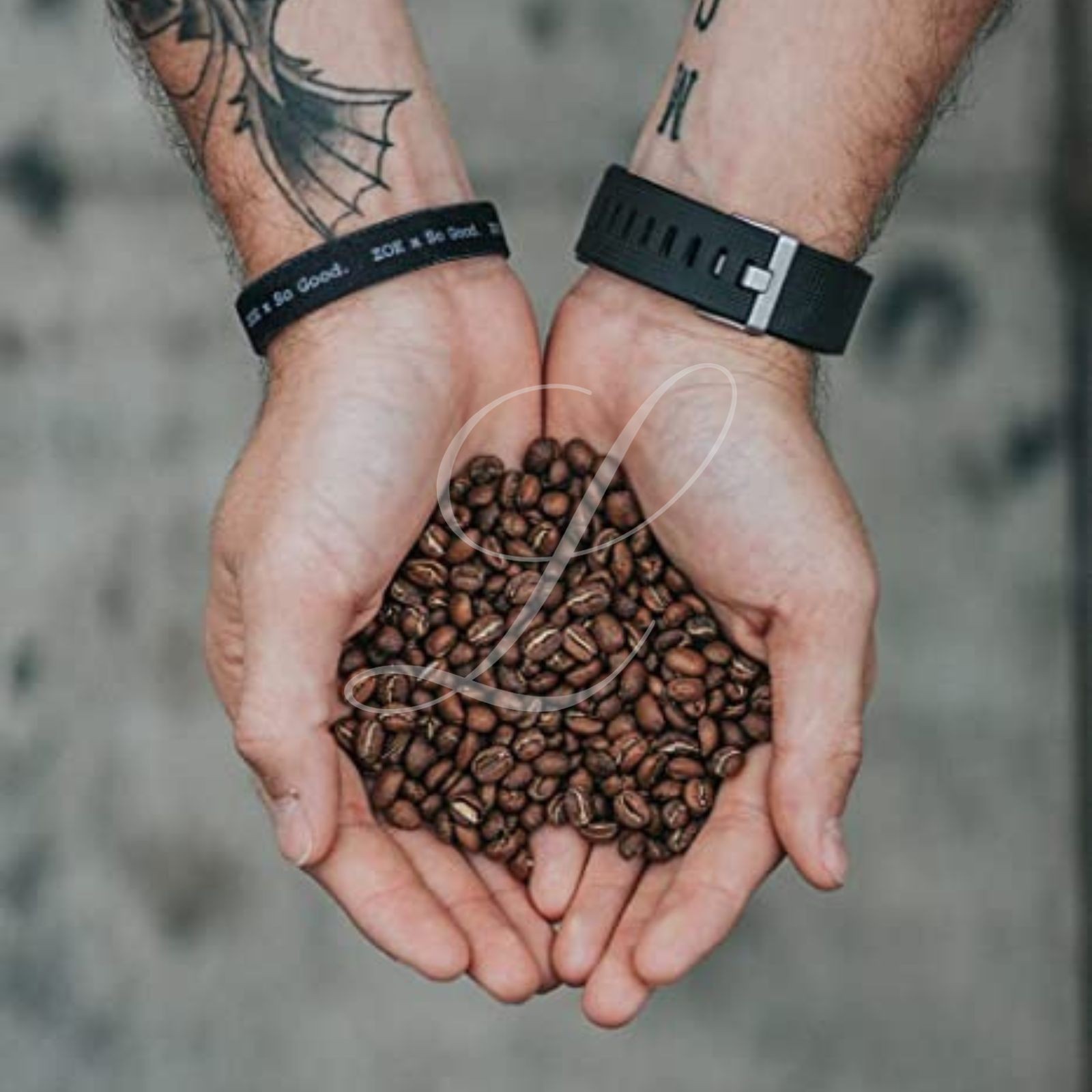 10 lbs of AUTHENTIC & FRESH Jamaica Blue Mountain Coffee – Customize Your Order!