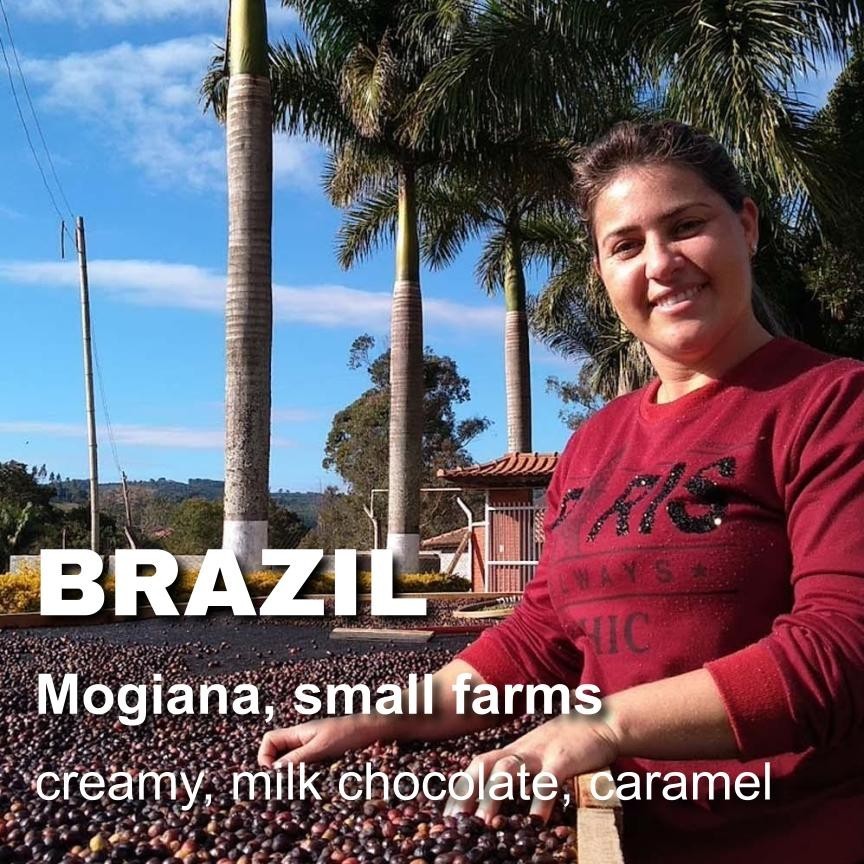 Brazil unroasted green coffee beans, Mogiana, small farm cooperative, 4lbs