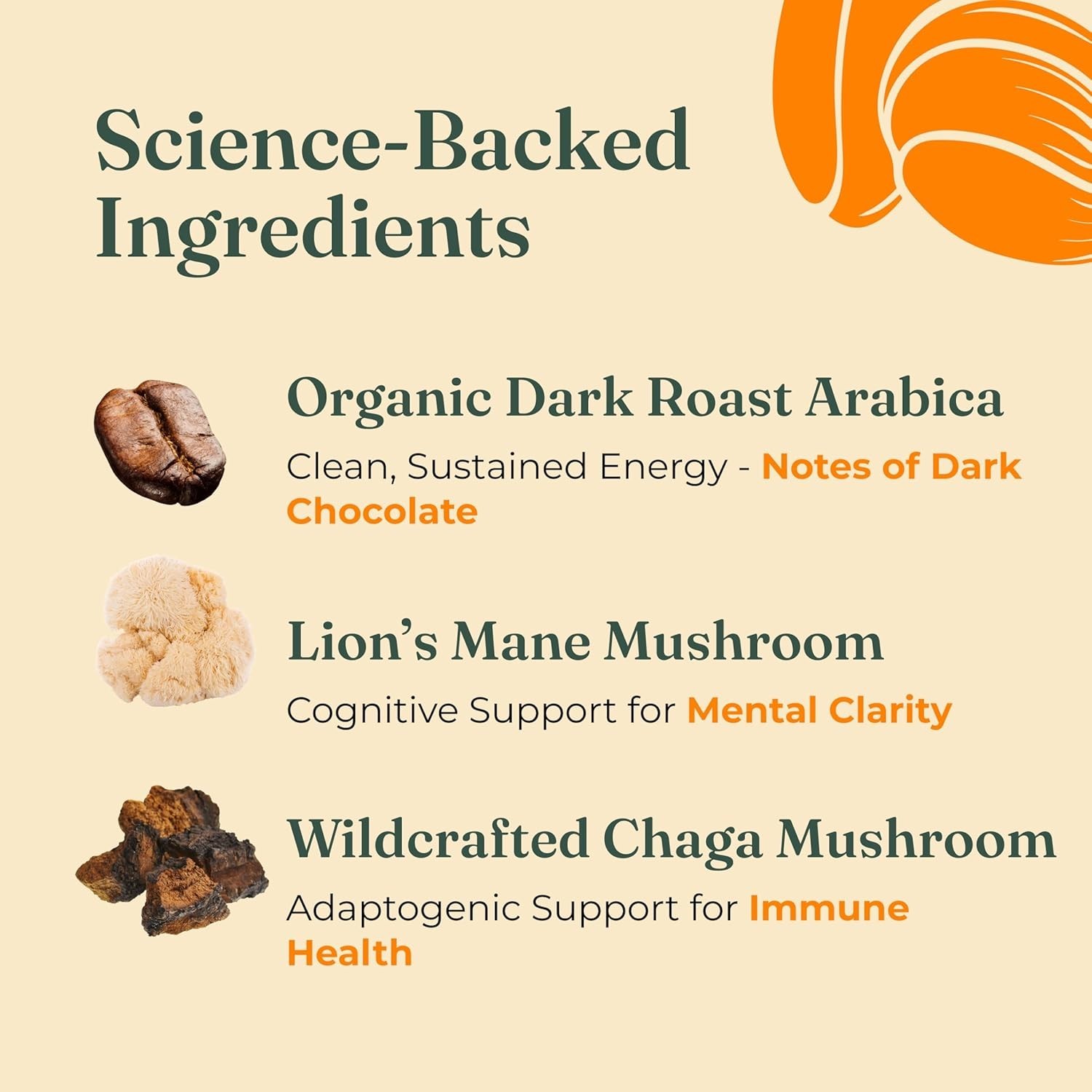 Organic Mushroom Coffee Dark Roast Lion’s Mane Chaga 12oz Ground