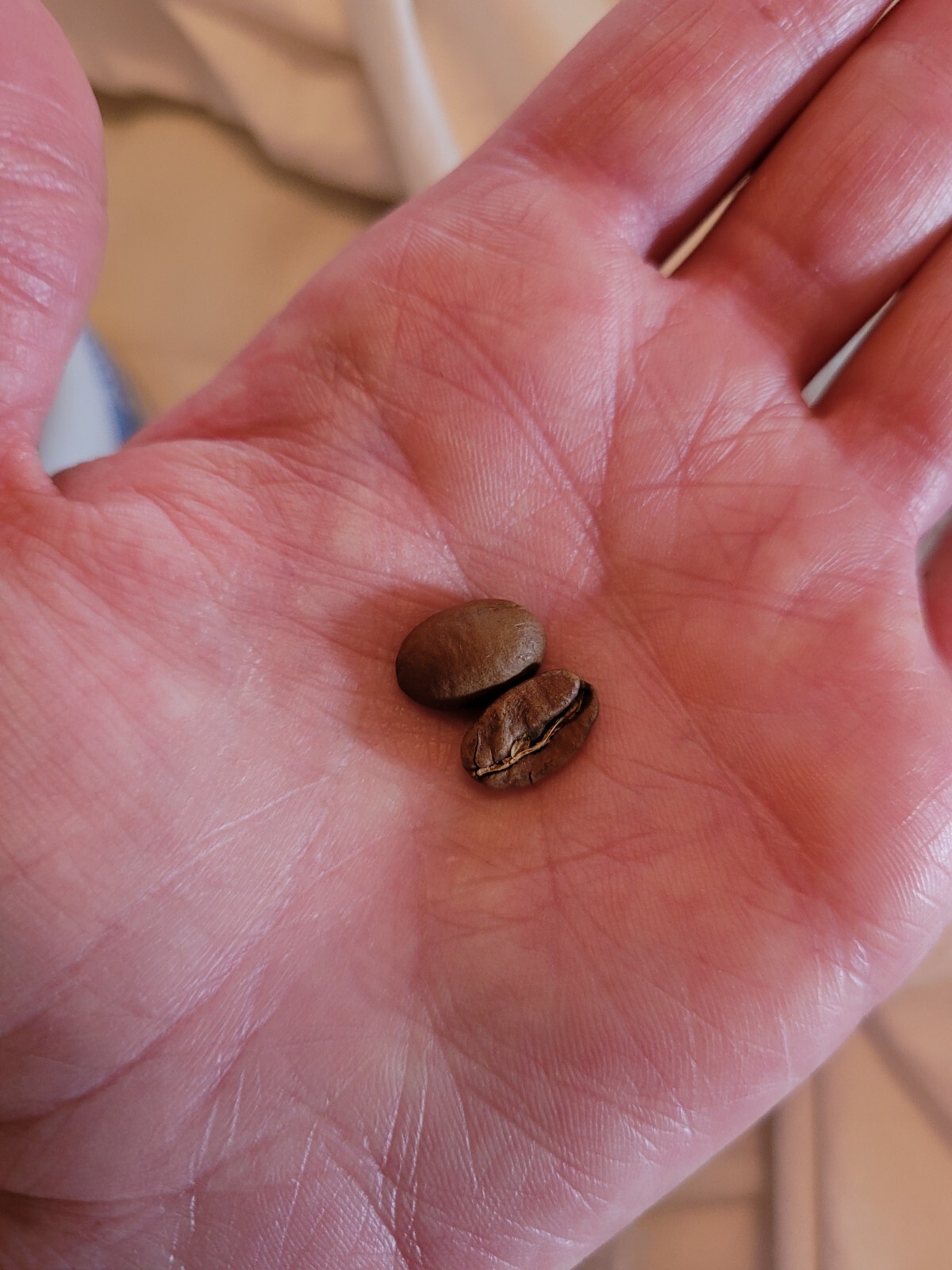Panama La Esmeralda GEISHA coffee beans Roasted to Order 8oz by Muth Rosten Haus