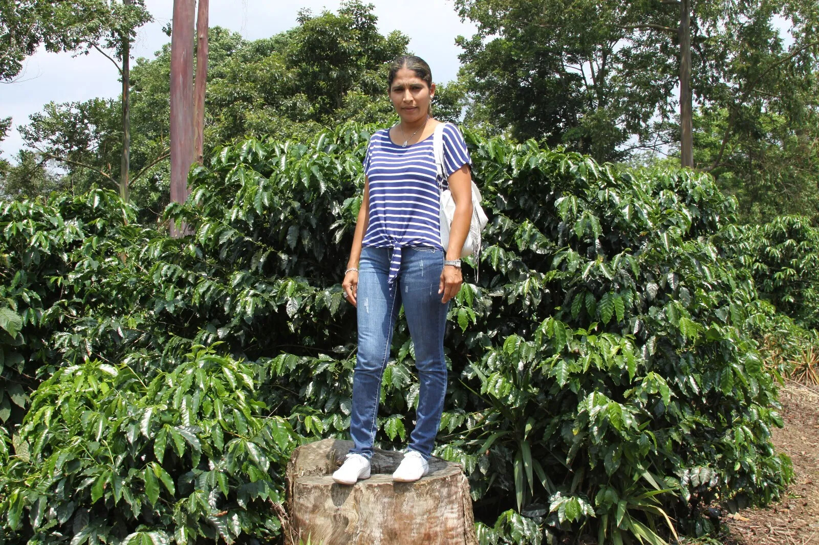 Colombian Supremo Coffee Beans Fresh Roasted Daily Medium 2 Bags 1 Pound Each!