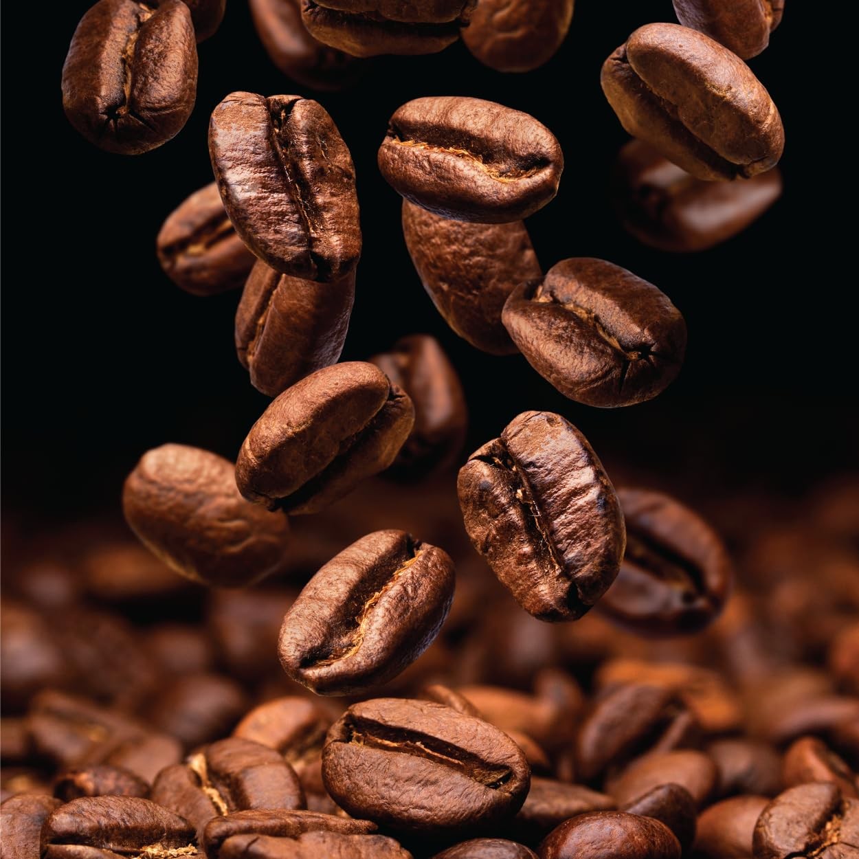 Ecuador Amazonian — Whole Bean Single Origin 100% Arabica Specialty Coffee, R…