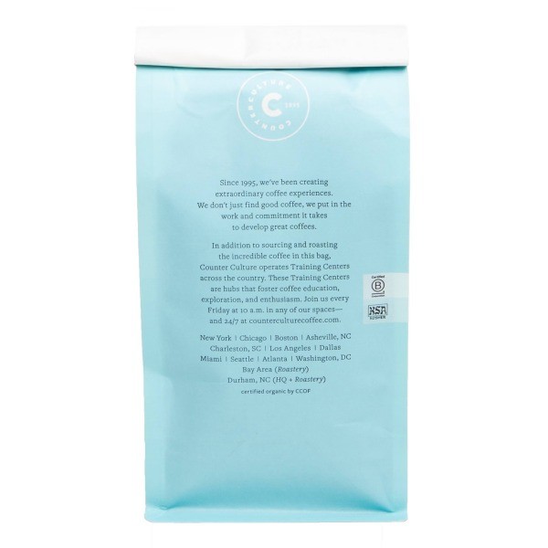 Fast Forward Medium Roast Whole Bean Coffee – 12oz