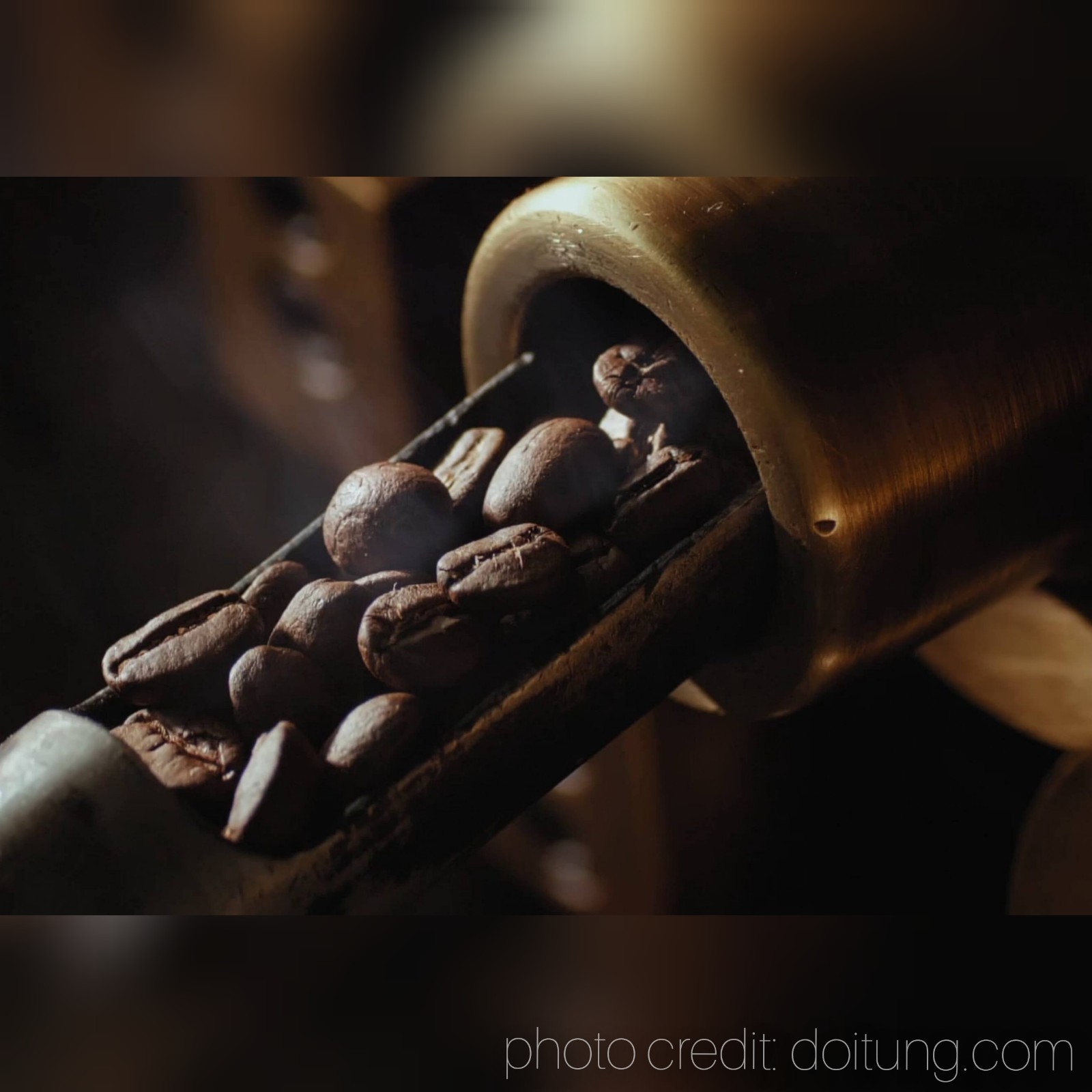 DoiTung Thai Whole Bean Coffee 100% Arabica 7.05oz (200g) – Pack of 2【US DDP】