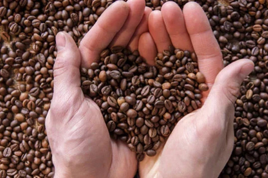 HEB CAFE Olé Taste of Austin Medium Roast Whole Bean Bulk Coffee – 1 lb Packet