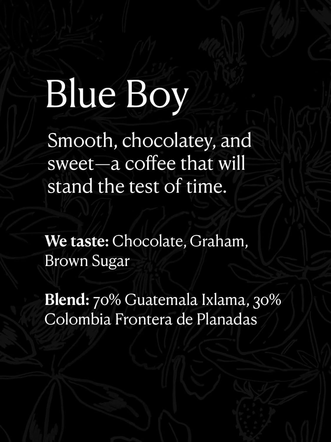 Methodical Coffee Blue Boy Whole Bean Coffee 12 oz Roasted 4/20/26
