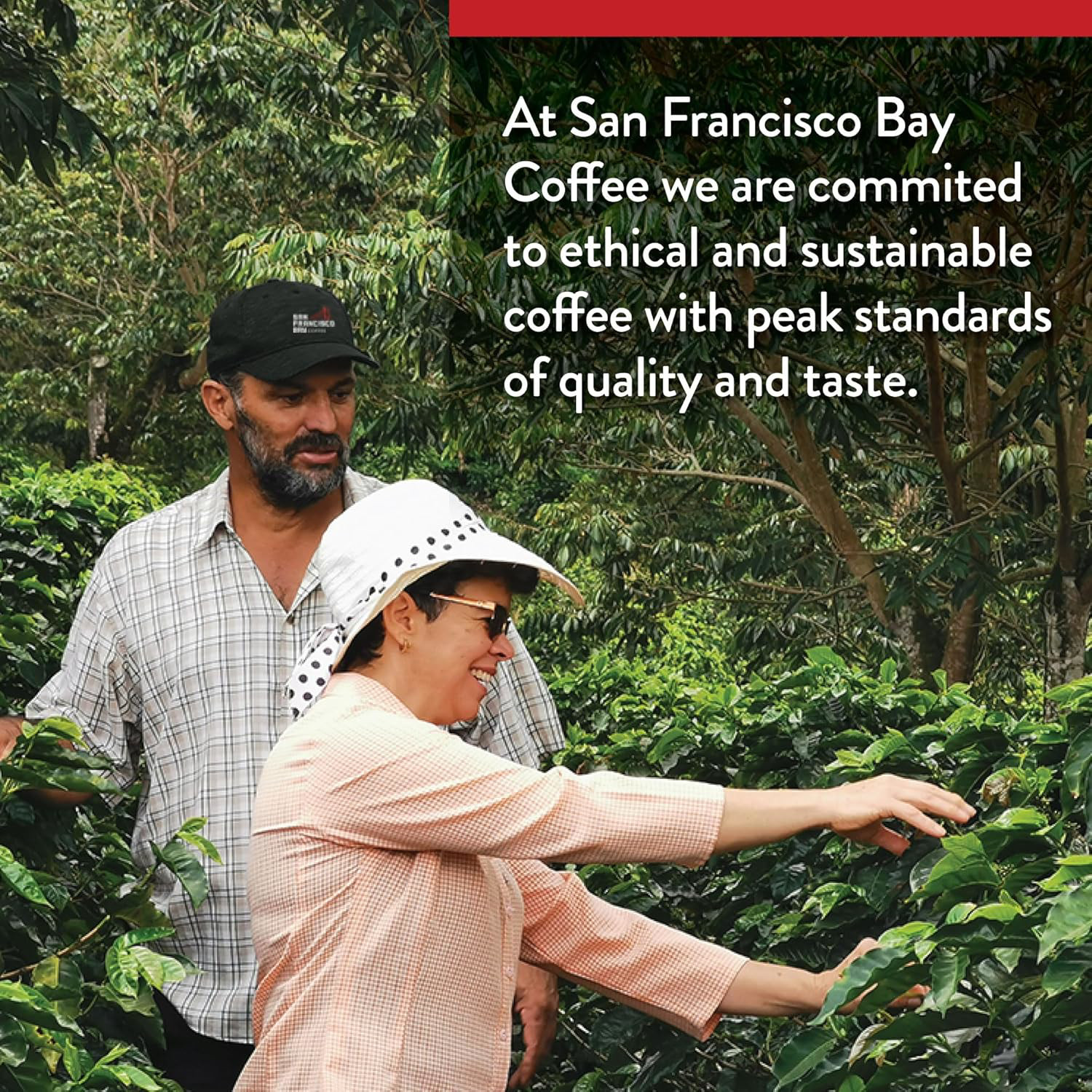 Decaf French Roast Whole Bean Coffee 2lb – Dark Roast, Swiss Water Processed