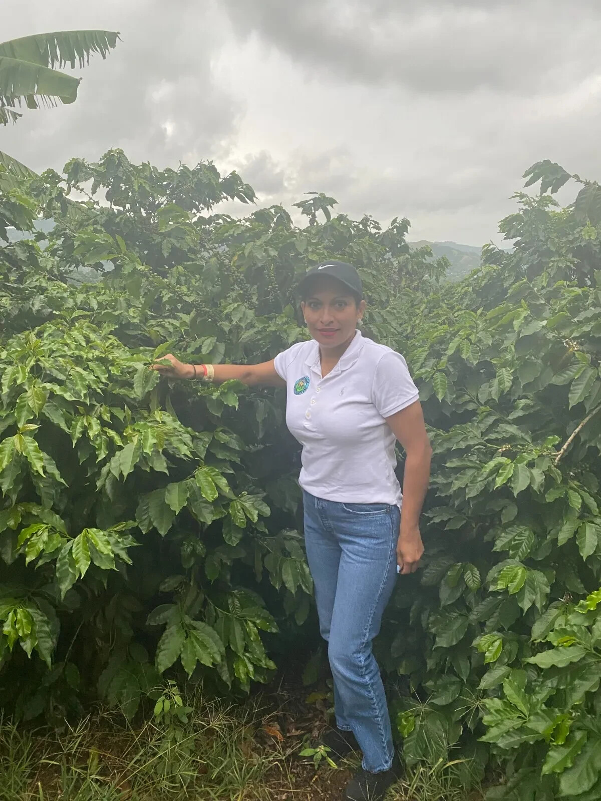 MEXICAN CHIAPAS COFFEE BEANS MEDIUM ROASTED 5 POUNDS IN 1 POUND BAGS