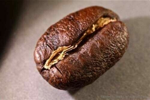 100% HAWAIIAN KONA PEABERRY COFFEE BEANS MEDIUM ROASTED 2 / 12LBS – 1 POUND BAGS