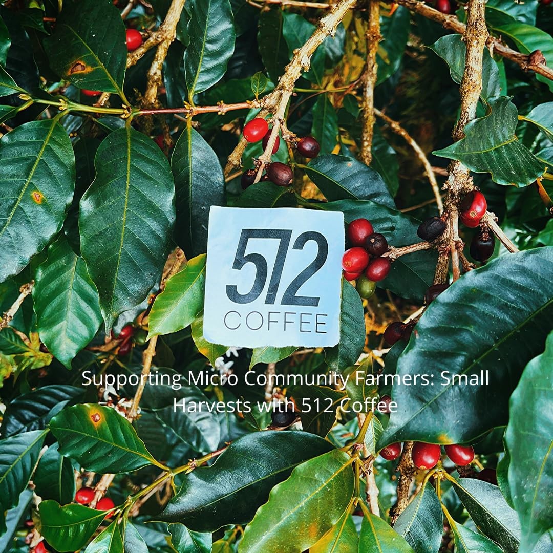 Ethiopia Yirgacheffe Light Roast Whole Bean – Single Origin Specialty Coffee …