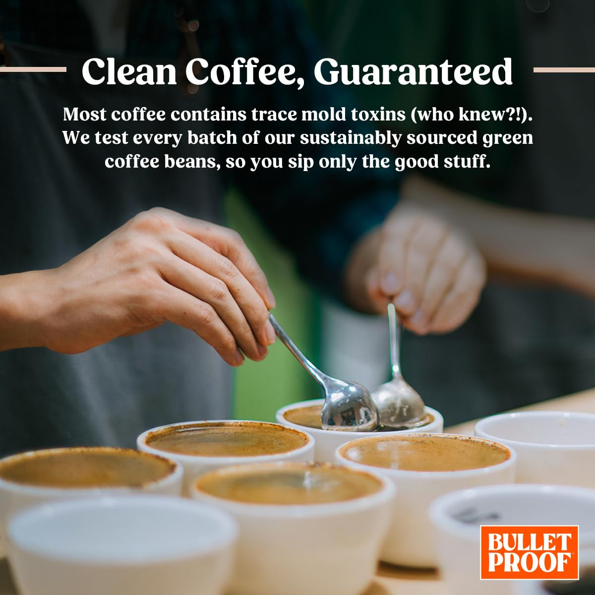 the Mentalist Medium-Dark Roast Whole Bean Coffee, 12 Ounces, Clean Coffee Teste