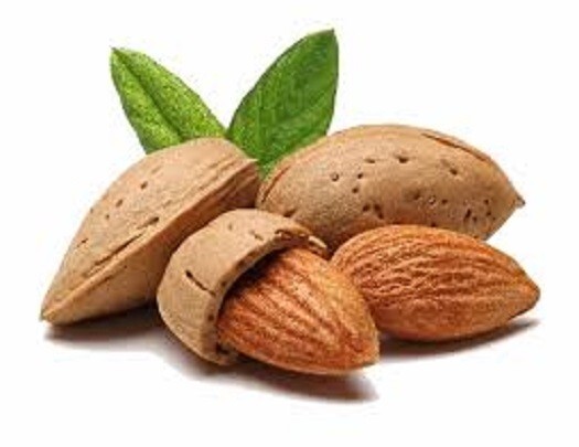 Vanilla Almond Whole Bean 10oz Dessert Coffee Fresh Roasted Medium Bold
