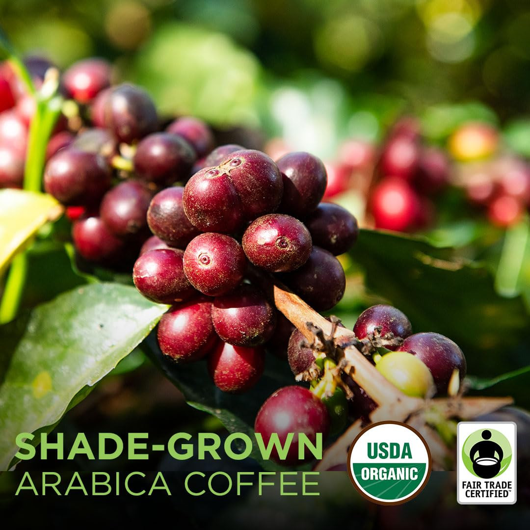 – Fair Trade Organic Nicaragua Segovia Dark Roast |Whole Bean Coffee | USDA O…
