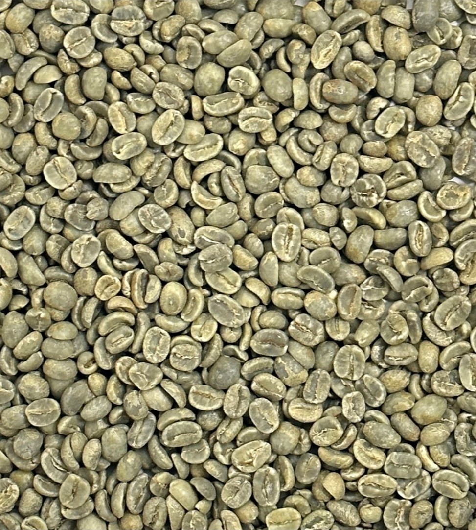 Green Coffee Beans / Guatamalan Huehuetenango / 1 Pound / UNROASTED