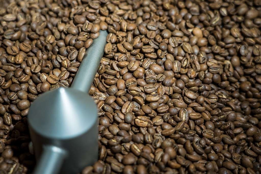 Ethiopian Yirgacheffe Coffee – Idido Ukitee