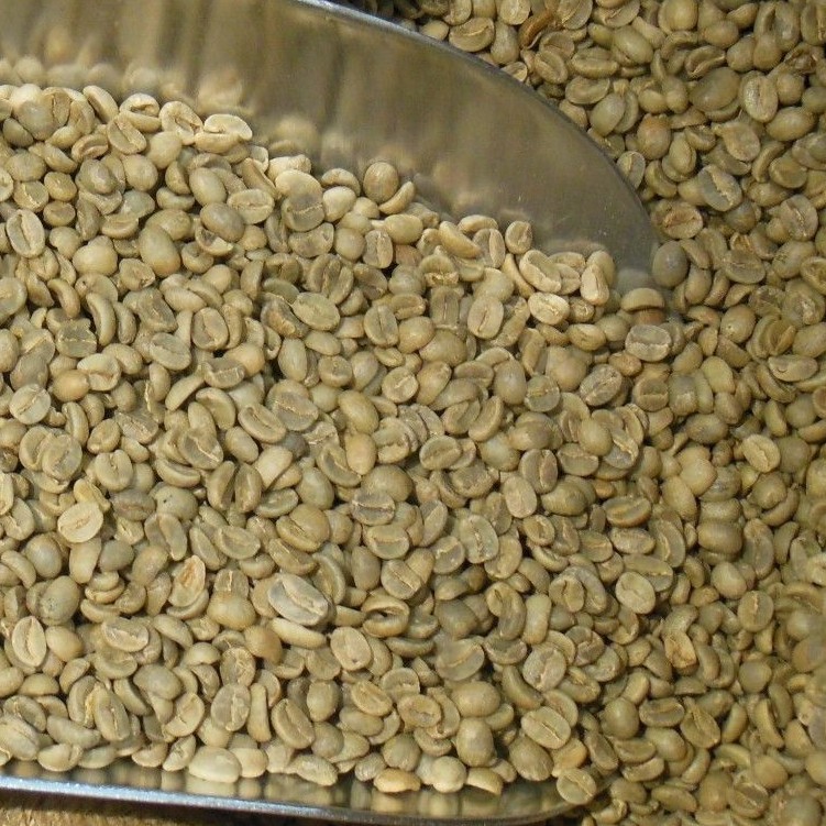 Green Coffee Beans – Mexico – Chiapas – Mocabe – Organic – Unroasted