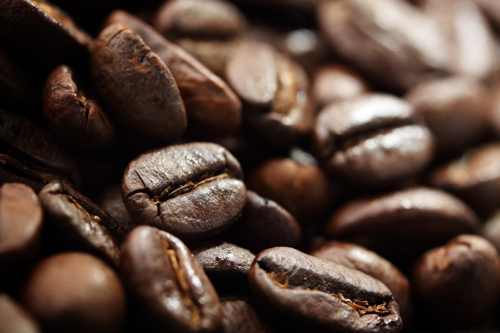 2025 Florida Cracker – Cowboy Coffee – 1 bag Fresh Roasted Coffee