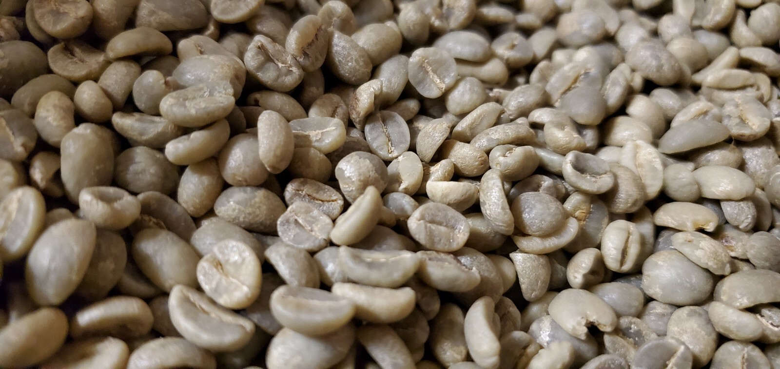 5 LB AFRICA RWANDA RWANDAN GREEN UNROASTED COFFEE BEANS FIVE POUND – ARABICA