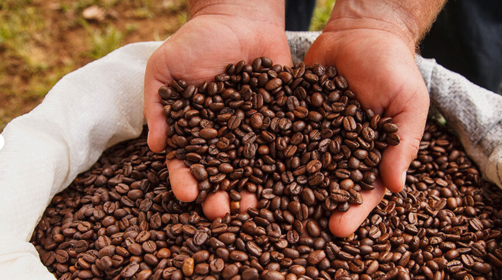Coffee Chaser Freshly Medium Roasted Colombian Coffee Beans