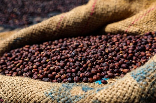 Half Caff Blend | Organic | Arabica | Medium Roast | California Fresh Roasted