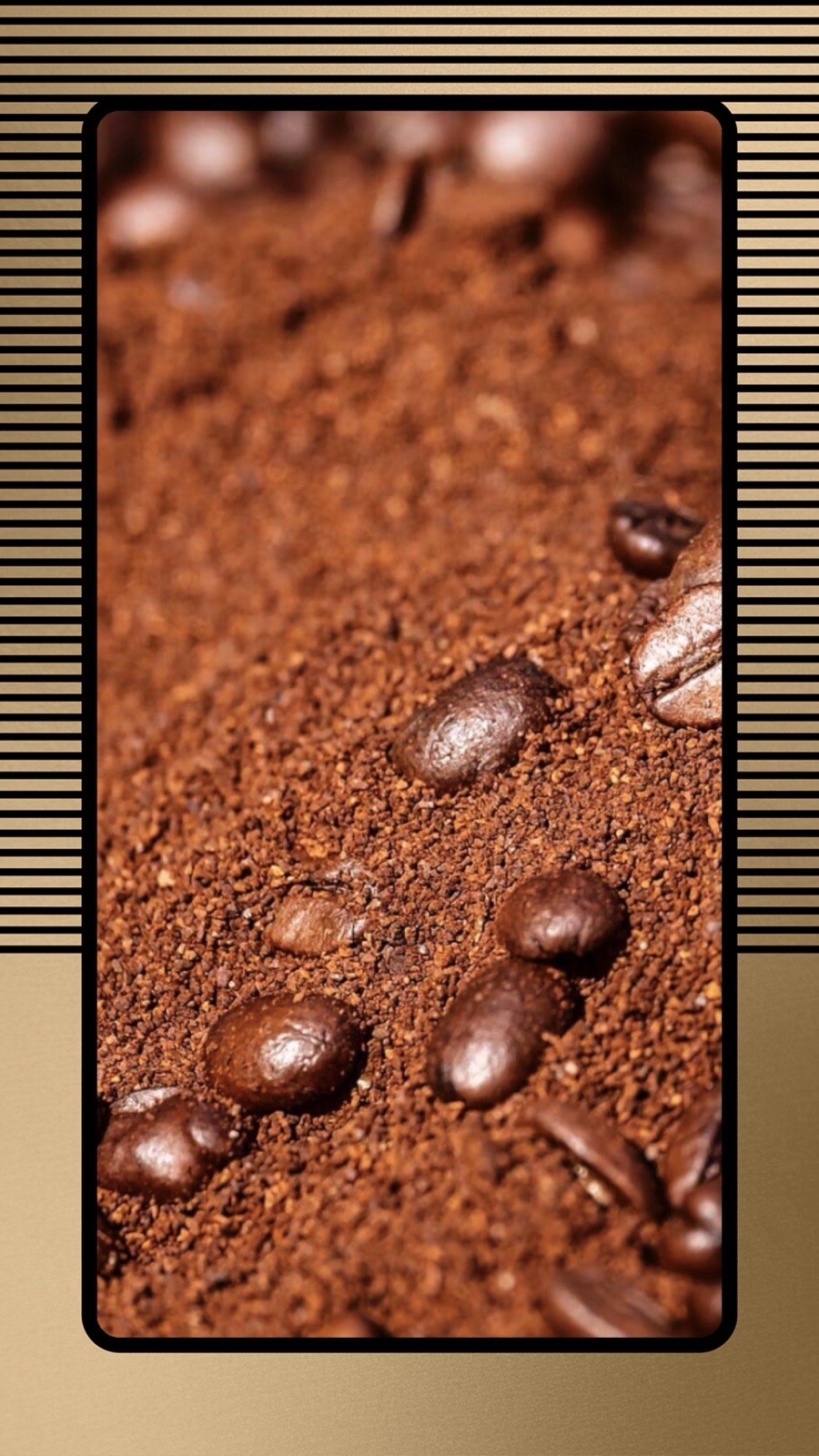 2, 5, 10 LB BRAZIL LEGENDER FRESH ROASTED COFFEE WHOLE BEAN, GROUND – ARABICA
