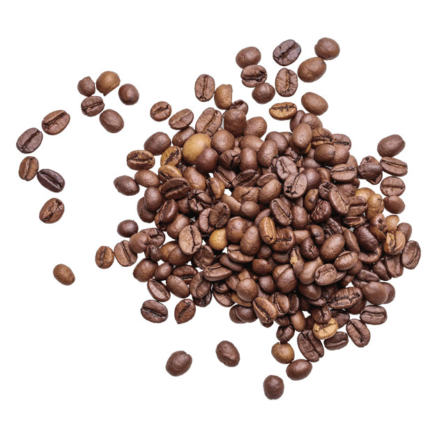 10 lbs of 100% Certified Organic Jamaica Blue Mountain Coffee – Free Shipping!