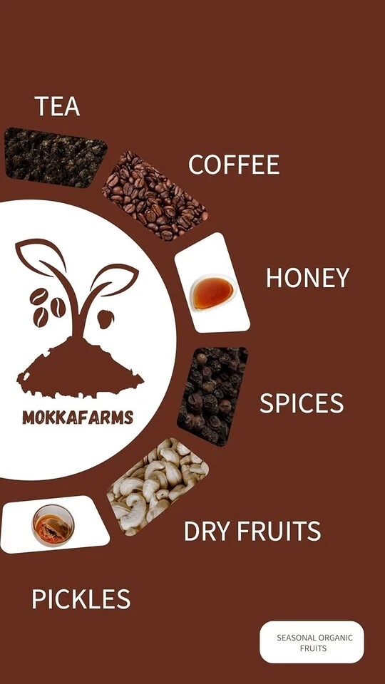 MokkaFarms 100% Pure Arabica Roasted Coffee Beans 250g Free Shipping World Wide