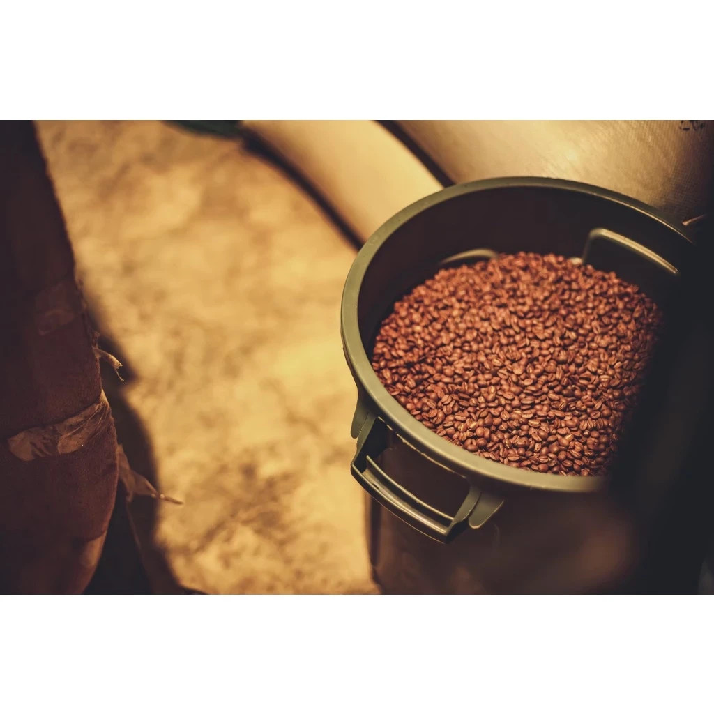 Premium Thai Coffee : Fearless Blend – Light Roast Whole Bean Bangkok Vibrant