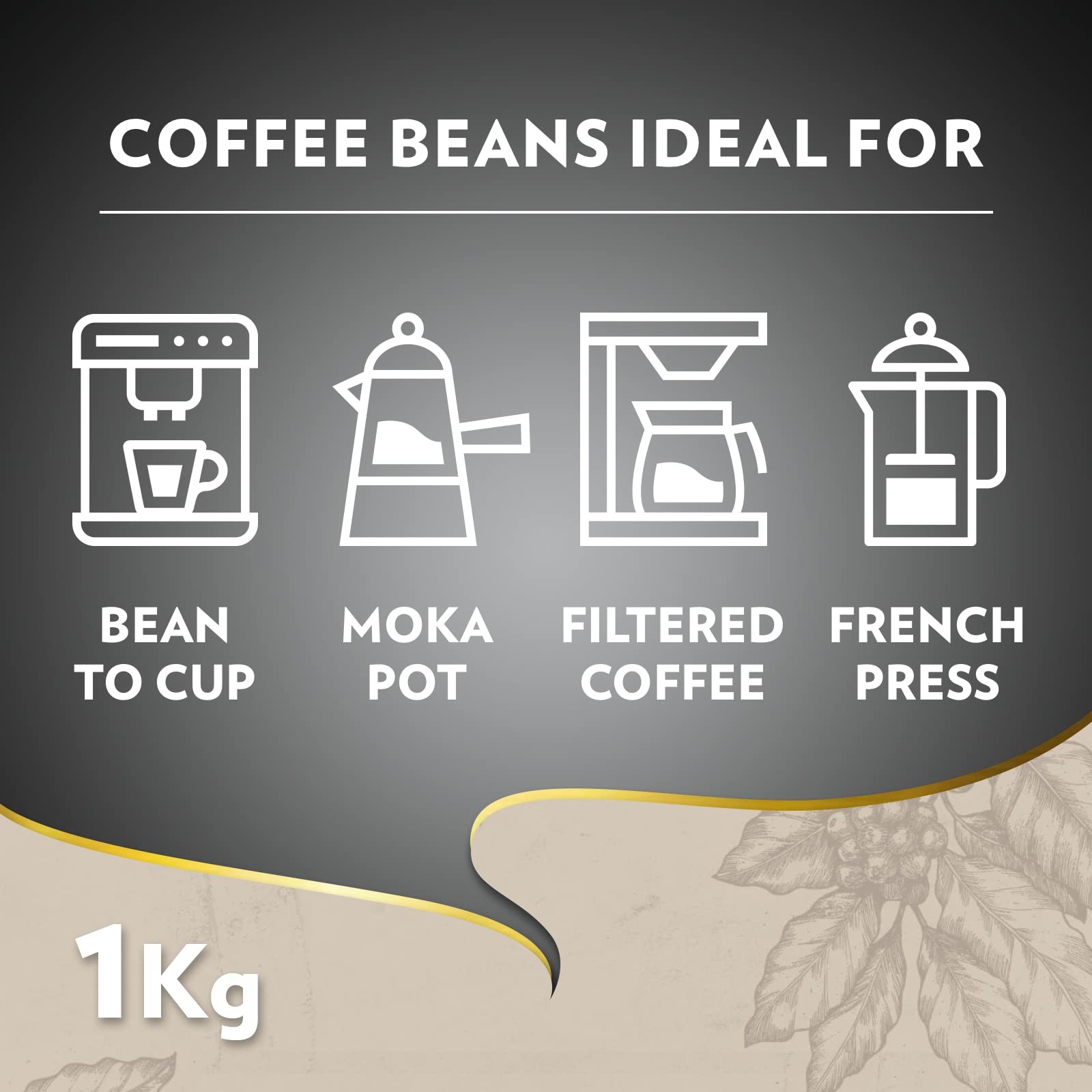 Lavazza Barista Perfetto, Arabica and Robusta Drum Roast Coffee Beans, Pack of 1